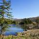 Spruce Knob Lake far shoreline