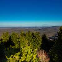 Spruce Knob Mountain Landscapes in West Virginia