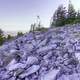 Spruce Knob Mountain Side in West Virginia