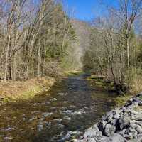 Allegheny Mountains Stream