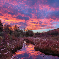 Sunrise over the pond in Monongahela National Forest