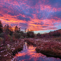 Monogahela National Forest  Photos