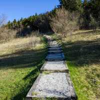 Trail around Spruce Knob Lake