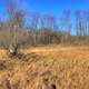 Fields and trees on the 400 trail in Wisconsin