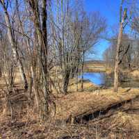 Woods and River on the 400 trail in Wisconsin