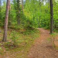 Hiking Trail at Amnicon Falls State Park, Wisconsin