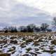 Snowy fields at Aztalan State Park, Wisconsin