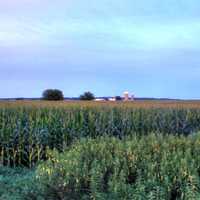 Dusk over the corn fields on the Badger State Trail, Wisconsin