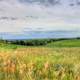 Landscape with skies on the Badger State Trail, Wisconsin