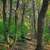 Hiking trail in woods at Belmont Mounds State Park, Wisconsin image ...