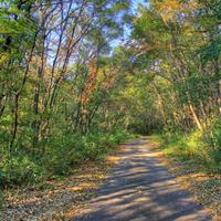 Belmount Mounds State Park  Photos