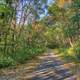 Paved Hiking Trail at Belmont Mounds State Park, Wisconsin