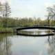 Bridge over Lagoon