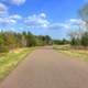 Roadway into the Park in the Black River Forest