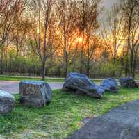 landscape and rocks in the Black River Forest