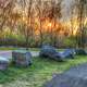 landscape and rocks in the Black River Forest