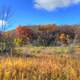 Autumn hills and plants in Blue Mound State Park, Wisconsin