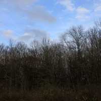 Blue Sky over trees in Blue Mound State Park, Wisconsin