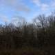 Blue Sky over trees in Blue Mound State Park, Wisconsin