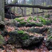 Bridge over streambed in Blue Mound State Park, Wisconsin