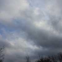 Clouds over trees in Blue Mound State Park, Wisconsin