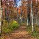 Colorful hiking path through the woods in Blue Mound State Park, Wisconsin