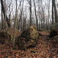 Going up on the hiking Path in Blue Mound State Park, Wisconsin