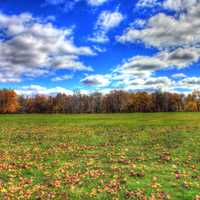 Grassy Meadow in Blue Mound State Park, Wisconsin