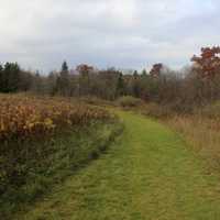 Green Path in Blue Mound State Park, Wisconsin