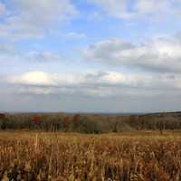 Horizon past fields in Blue Mound State Park, Wisconsin