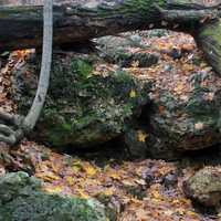 Log over rocks on streambed in Blue Mound State Park, Wisconsin