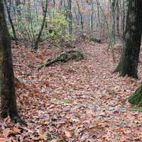 Looking down the hiking trail in Blue Mound State Park, Wisconsin