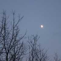 Moon between trees in Blue Mound State Park, Wisconsin