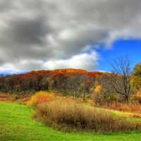 More park scenery in Blue Mound State Park, Wisconsin