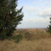 Overlook behind trees in Blue Mound State Park, Wisconsin