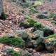 Rocks on the streambed in Blue Mound State Park, Wisconsin