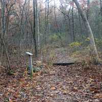 Tree Gateway in Blue Mound State Park, Wisconsin