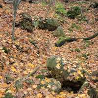 Rocks on Stream Bed in Blue Mound State Park, Wisconsin