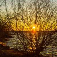 Sunset behind the Trees at Buckhorn State Park, Wisconsin