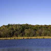 Trees on the lake view in the fall