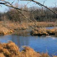 Swamp of lake at Cadiz Springs State Park