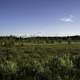 Horizon, sky, and landscape in Chequamegon National Forest, Wisconsin