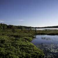 Lake and wetland area in Chequamegon National Forest, Wisconsin
