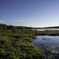 Lake and wetland area in Chequamegon National Forest, Wisconsin