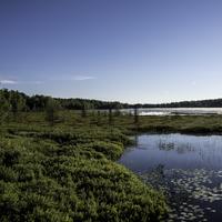 Chequamegon National Forest  Photos