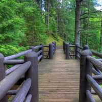 Path to the falls at Copper Falls State Park, Wisconsin