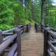 Path to the falls at Copper Falls State Park, Wisconsin