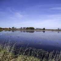 Lake Landscape with blue sky overhead in Crex Meadows