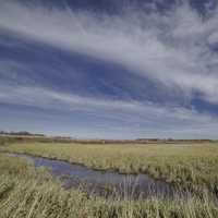 Loose Clouds over the meadows at Crex Meadows