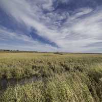 White clouds and blue sky over the Marshes at Crex Meadows